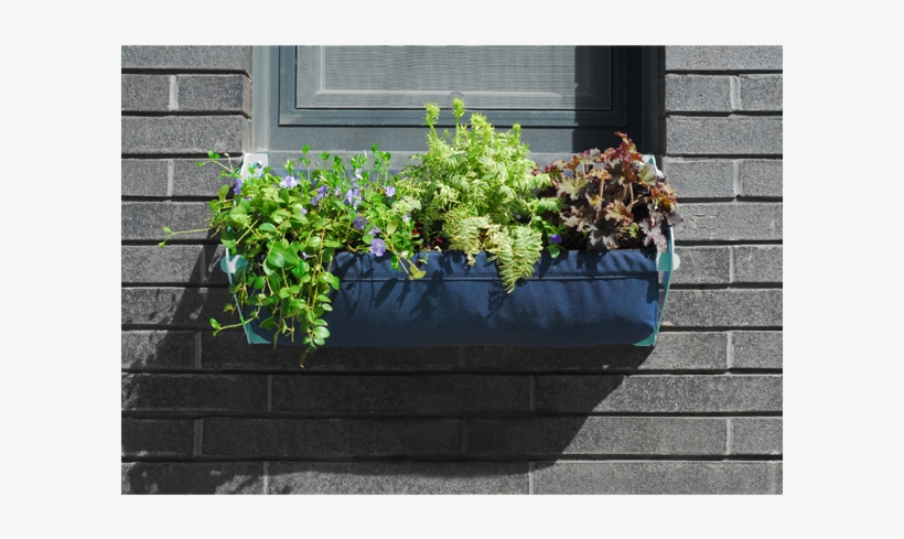 Tucker Window Box - Flowerpot, transparent png download
