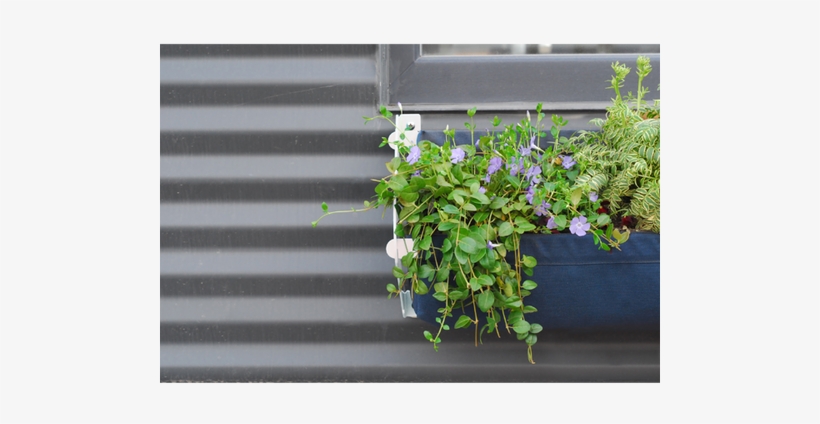 Tucker Window Box - Shift Tucker Aluminum Window Box Planter Colour: White/black, transparent png download