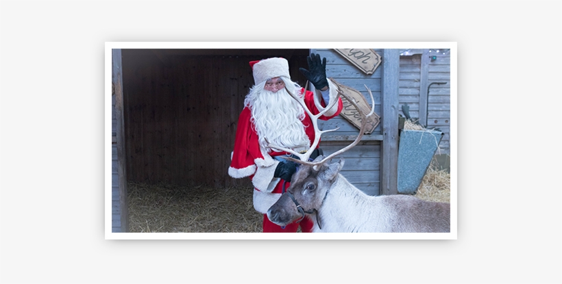 Reindeer - Santa Claus, transparent png download