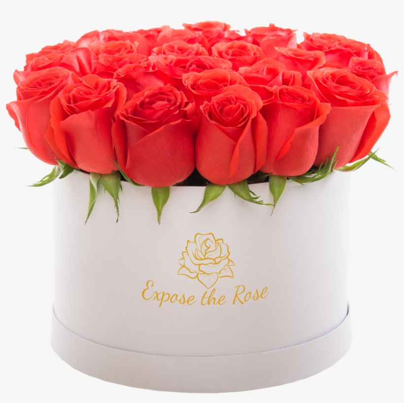 Solve It With Us - Stock Photography, transparent png download