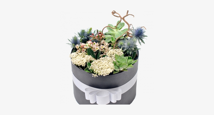 Flower Box - Starry Moment, transparent png download