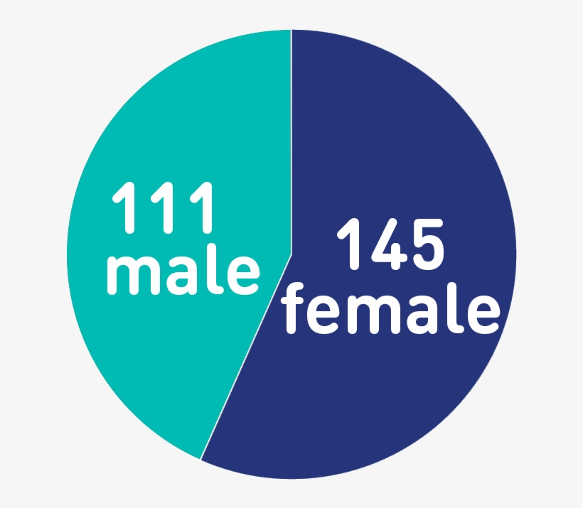 Dosbarthiad Gweithwyr Gwrywaidd A Benywaidd Ym Mhob - Gender Pay Gap, transparent png download