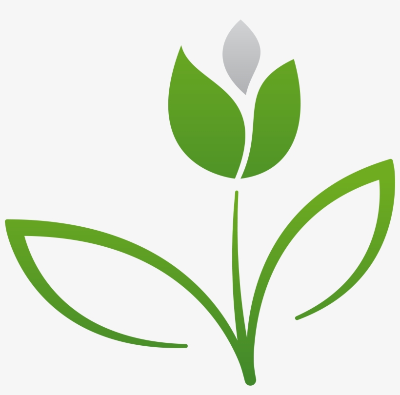 Flower Box Delivery London - London, transparent png download