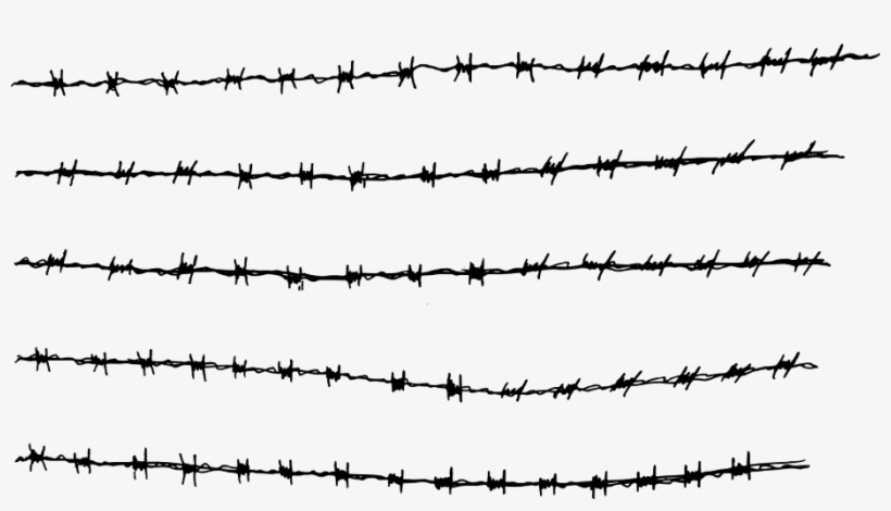 Barbed Wire Fence Png, transparent png download