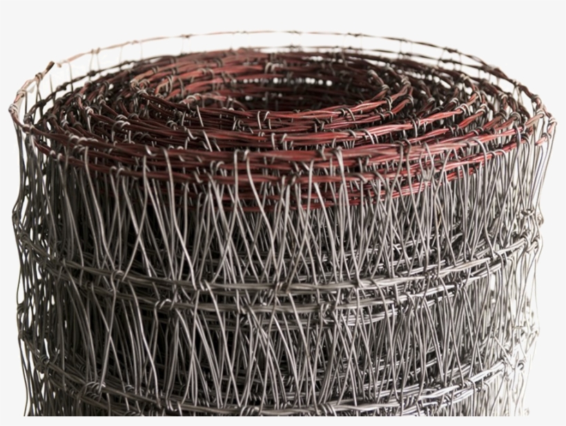 Skip To The Beginning Of The Images Gallery - Barbed Wire, transparent png download