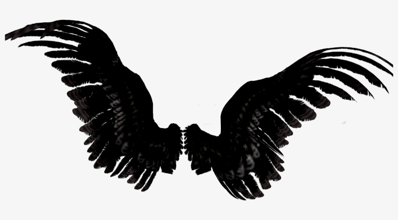 Asas Negras - Wings, transparent png download