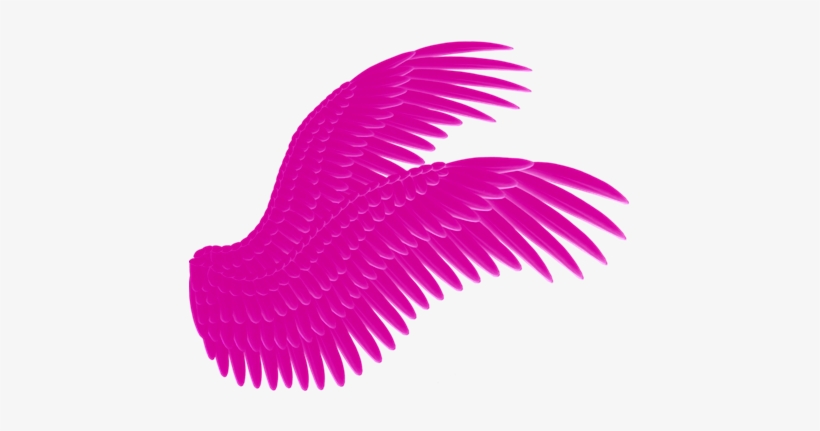 Asas De Anjo Em Png - Black Wings Png, transparent png download