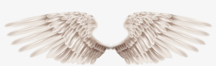 Relacionado - Propaganda De Red Bull, transparent png download