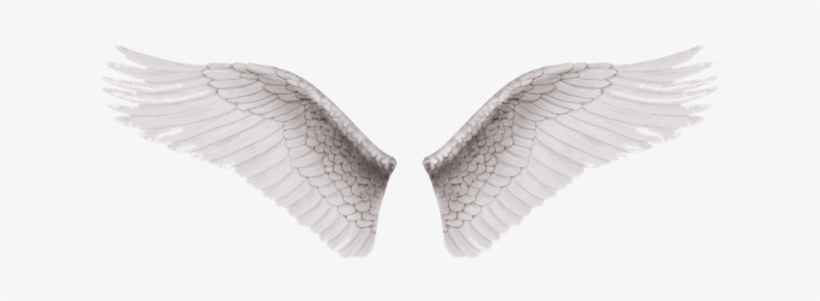 A Vantagem De Fazer Uma Tattoo Destas Nas Costas É - Alas De Angel Png, transparent png download