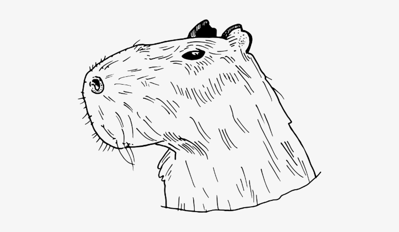 Graphic Black And White Stock Zeig Deine Liebe Zu - Line Art, transparent png download