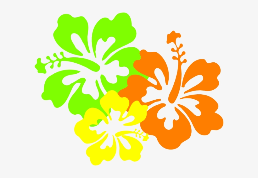How To Set Use Hibiscus Clipart - Hibiscus Clip Art, transparent png download