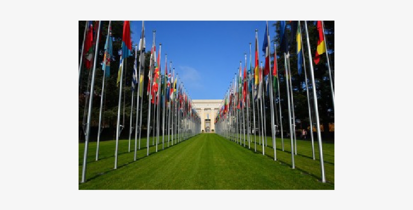 Urgent Call To Thai Government To Follow Commitments - Lawn, transparent png download