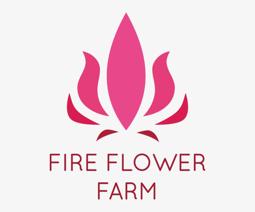 Fireflower Farm - Putty On Wall Before After, transparent png download