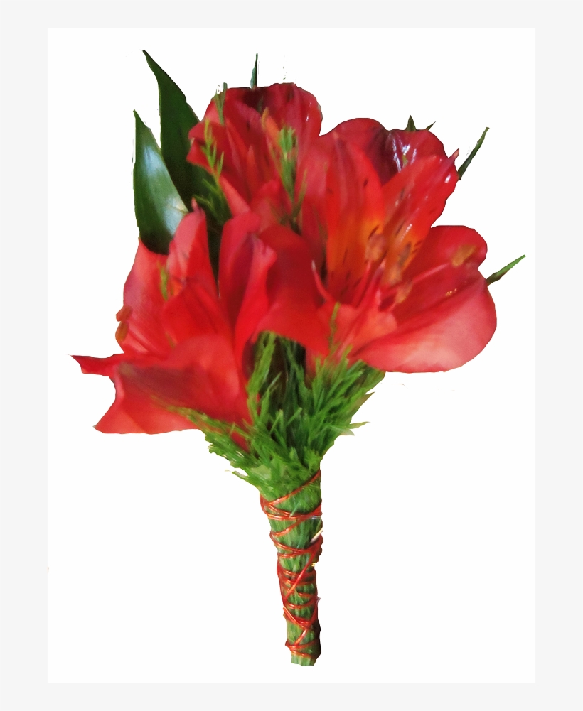 More Views - Bouquet, transparent png download