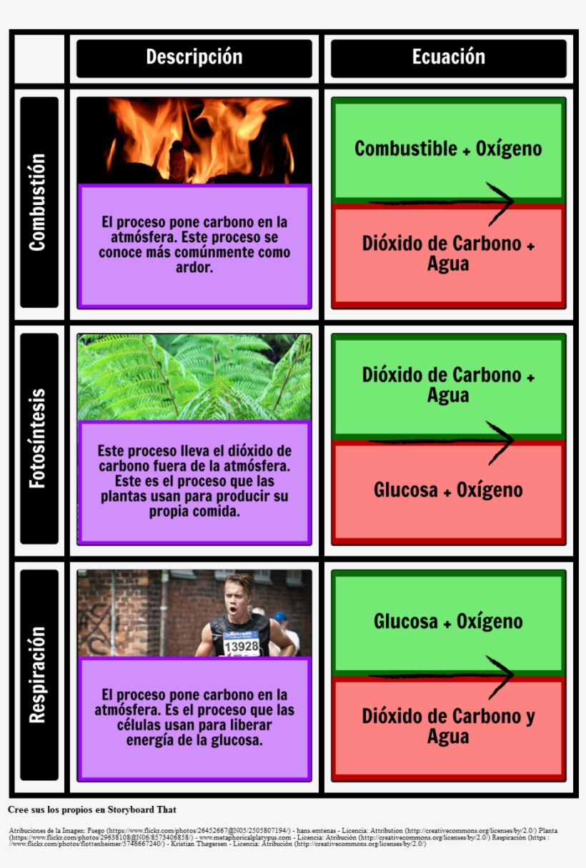 Carbon Cycle, transparent png download