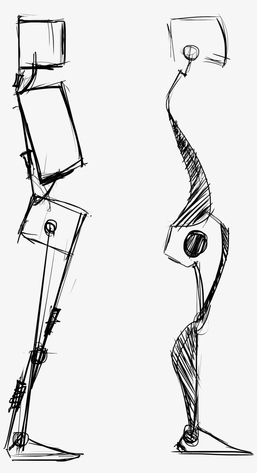 Each Curved Contour Is Complemented On The Opposite - Sketch, transparent png download