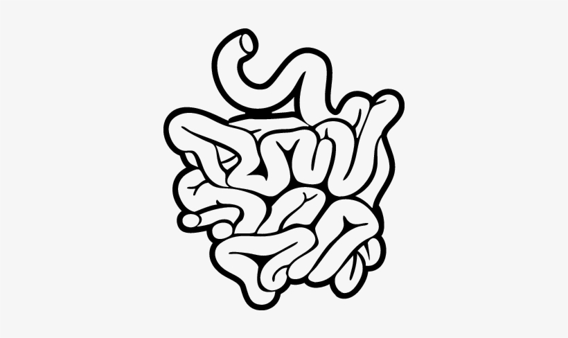 Small Intestine Black And White, transparent png download