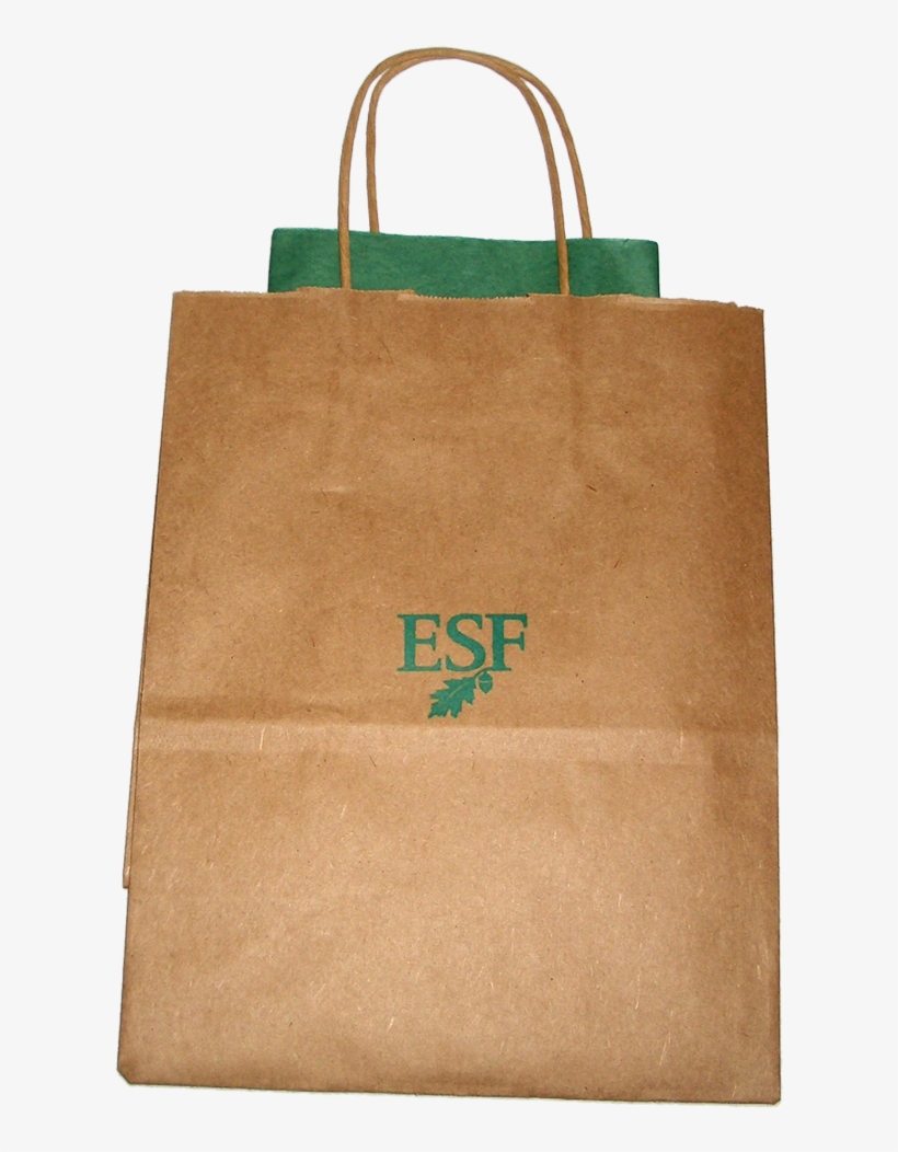 Gift Bag With Tissue - Gift, transparent png download