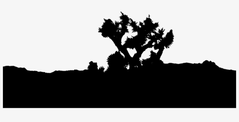 Landscape Photography Silhouette Tree - Ruined Man By Jason Degray, transparent png download