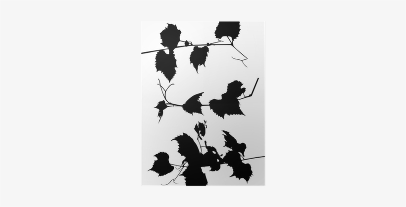 Vine Silhouettes, transparent png download