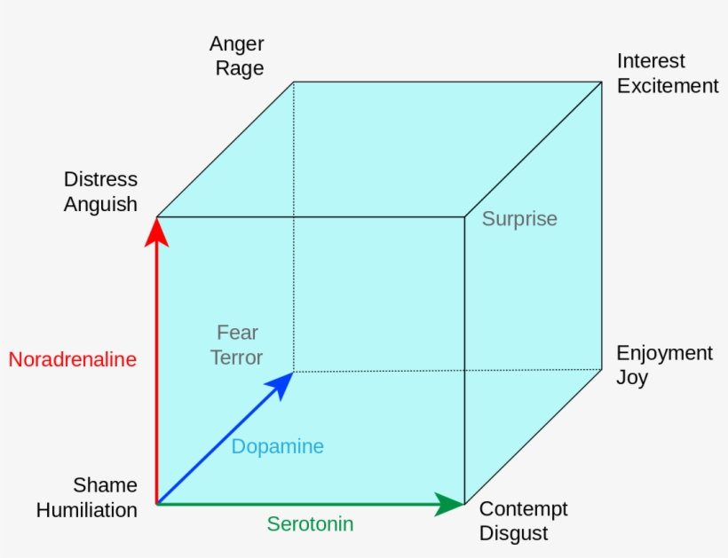 Pana Model Of Emotion, transparent png download
