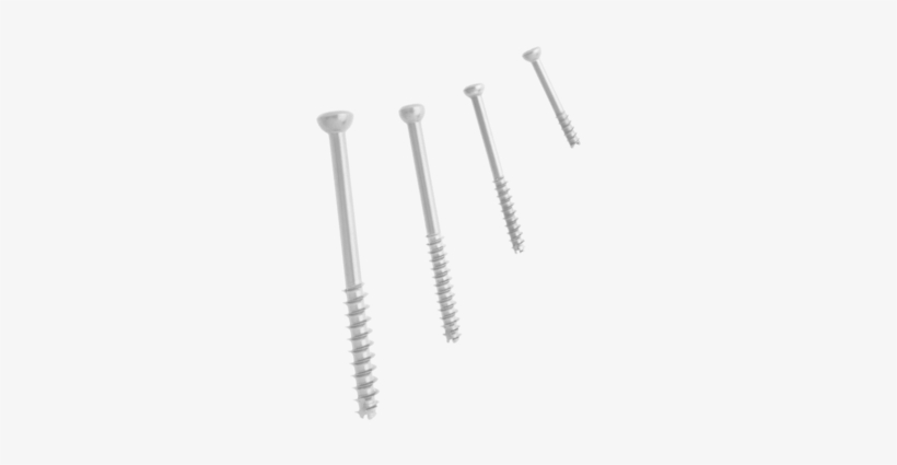Quickfix Cannulated Screw Set 0 Large - Tornillo Canulado Para Tobillo, transparent png download