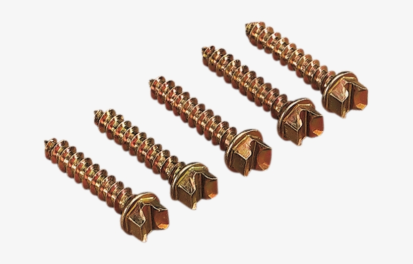 Quotpro - Screws Gold 1inch (1000)| Artikelnr: 12500062, transparent png download