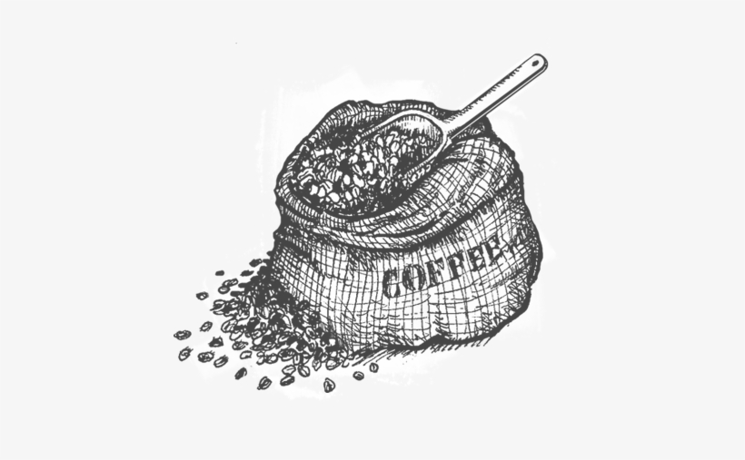 Stonefruit Coffee Co Drupe PNG Image Transparent PNG Free Download