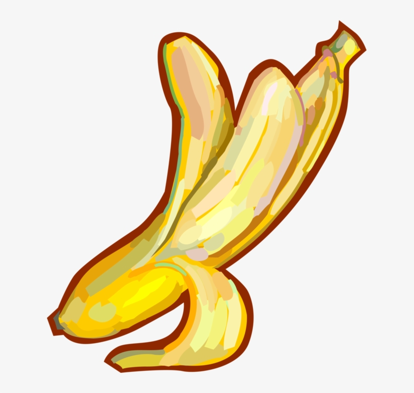 Vector Illustration Of Peeled Banana Edible Fruit - Banana Descascada Png, transparent png download