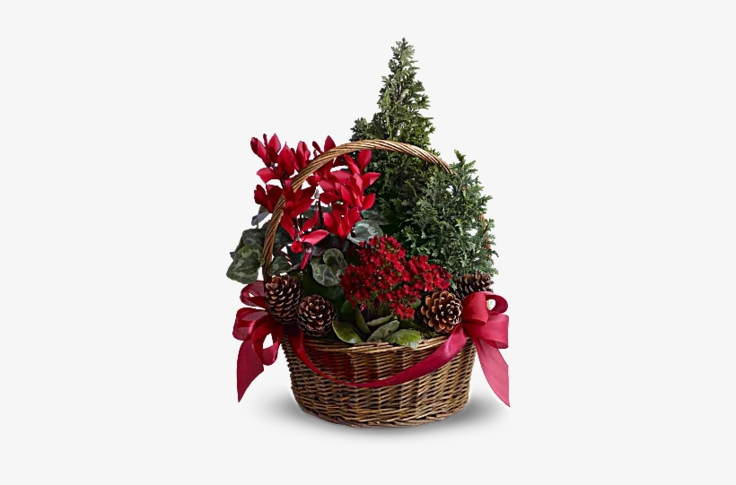 Home › Christmas Flowers › - Tannenbaum Basket, transparent png download