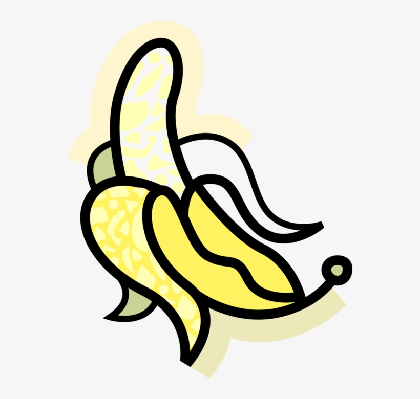 Vector Illustration Of Peeled Banana Edible Fruit, transparent png download