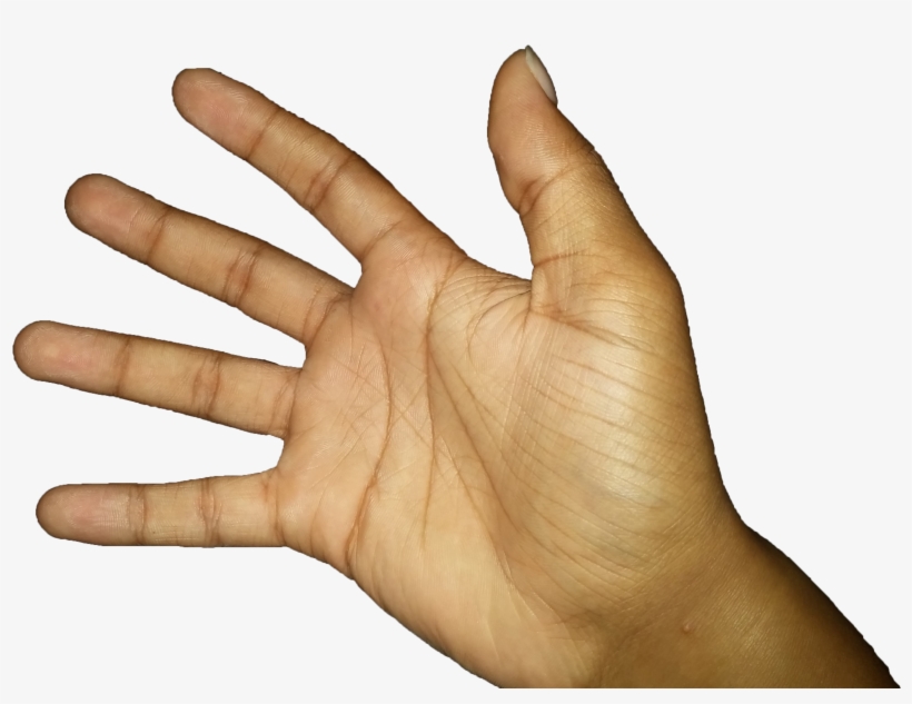 Turn Your Pinky, Ring And Middle Finger To The Inside - Virtue, transparent png download