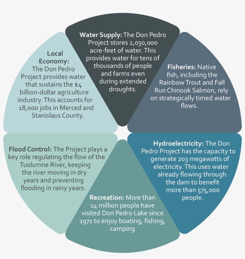 Tid On Twitter - Circle, transparent png download