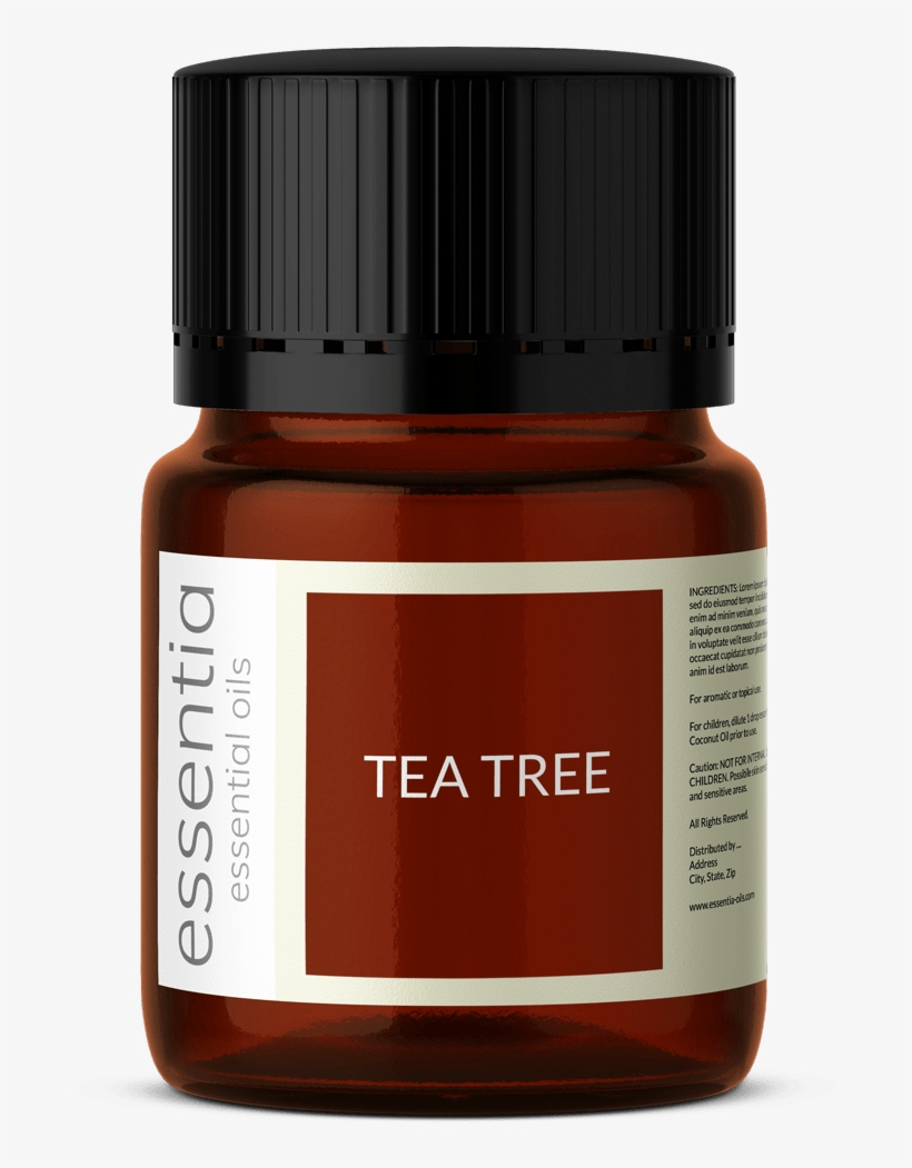 Tea Tree - Gum Trees, transparent png download