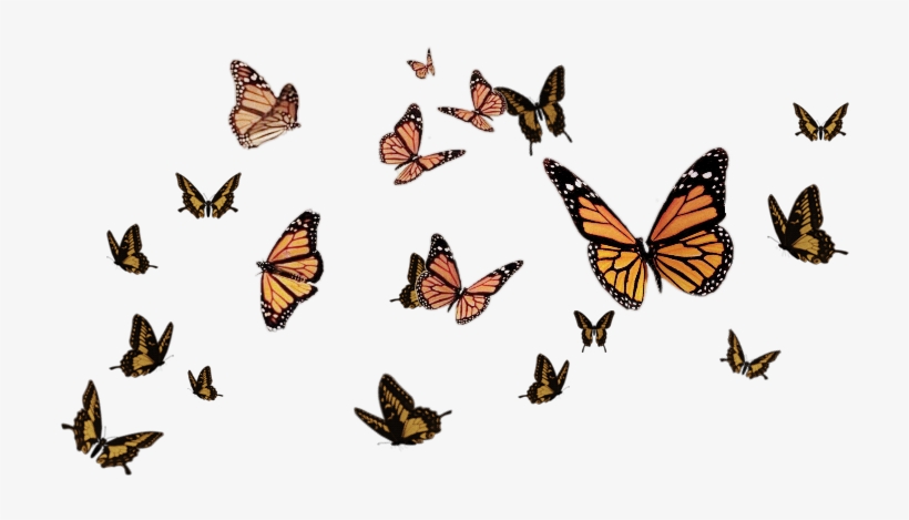 Sign In To Save It To Your Collection - Religion, Philosophy And Life: The Reasons Behind Action, transparent png download