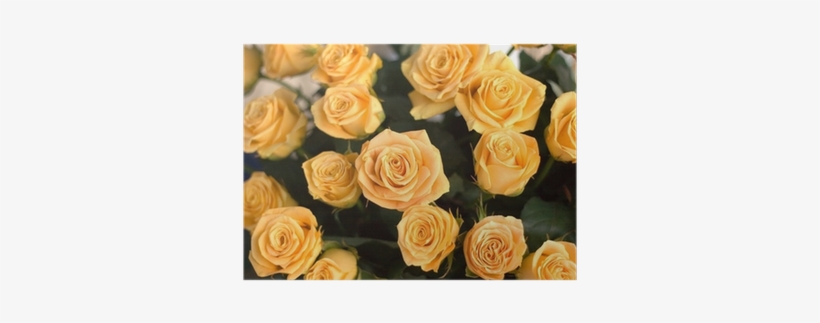 Wedding Bouquet, Bunch Of Yellow Roses Flowers Poster - Wedding, transparent png download