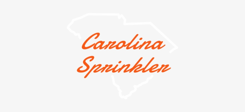 Picture - South Carolina, transparent png download