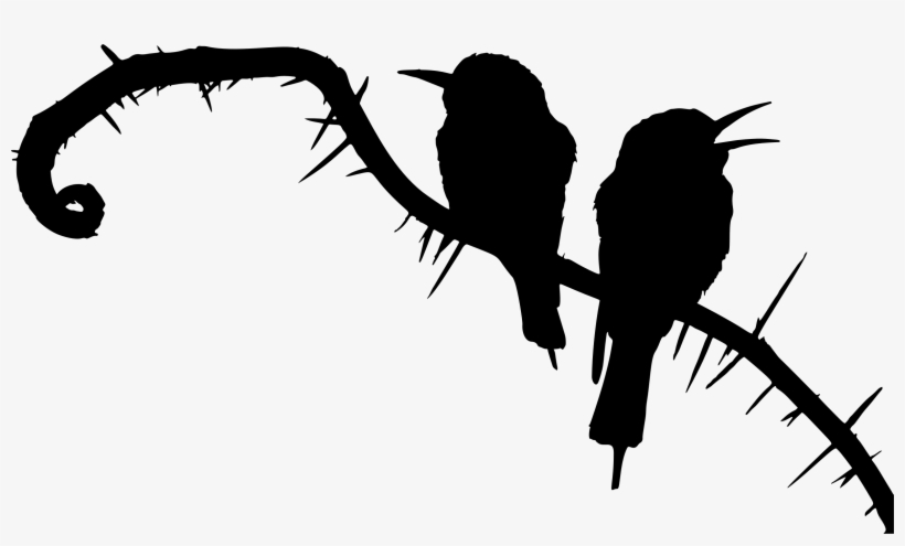 Big Image - Parrot, transparent png download