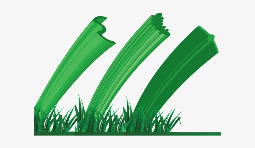 The Largest Selection Of Uniquely Shaped Engineered - Artificial Turf Yarn Shape, transparent png download