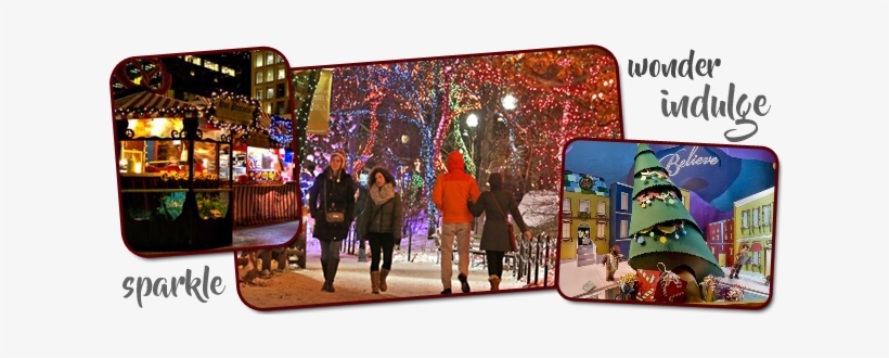 We Were Overwhelmed With The Response And Interest - Christmas Lights, transparent png download