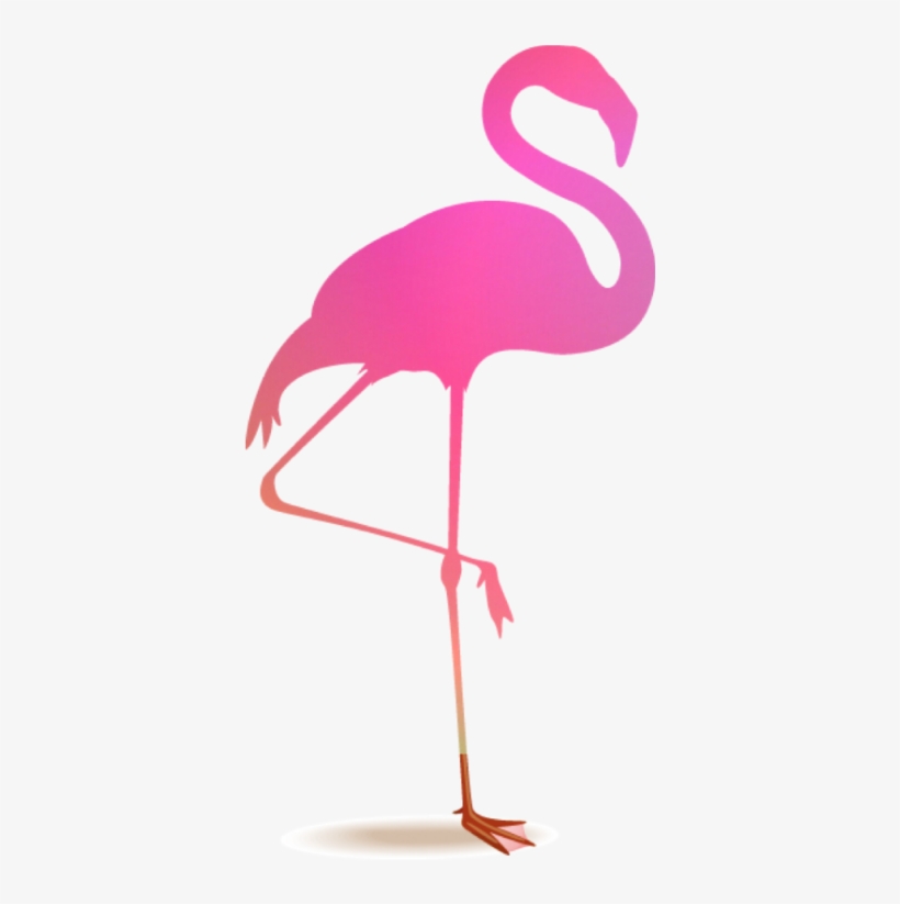 Flamingo Flamenco Blackandpinkblackpink - Flamingo Picsart, transparent png download