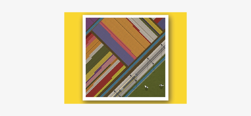 The Netherlands Are Famous For Their Tulips, Which - Train, transparent png download