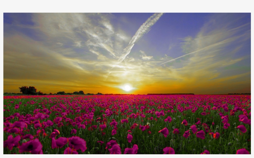 Score 50% - Anzac Day Lest We Forget, transparent png download