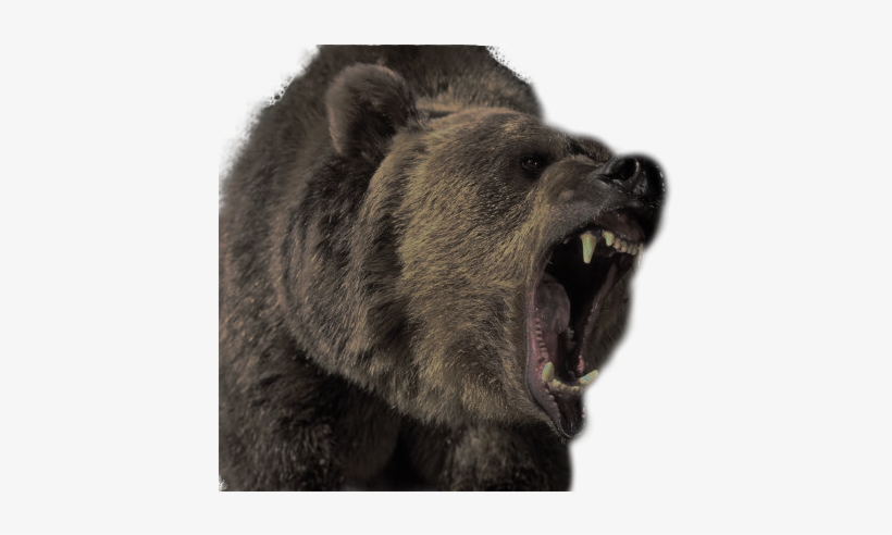 [img]https - //wackygoofball - Files - Wordpress - - Bear Grizzly Attack, transparent png download