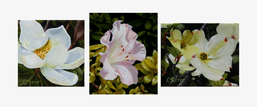 Field And Flower - Artist, transparent png download