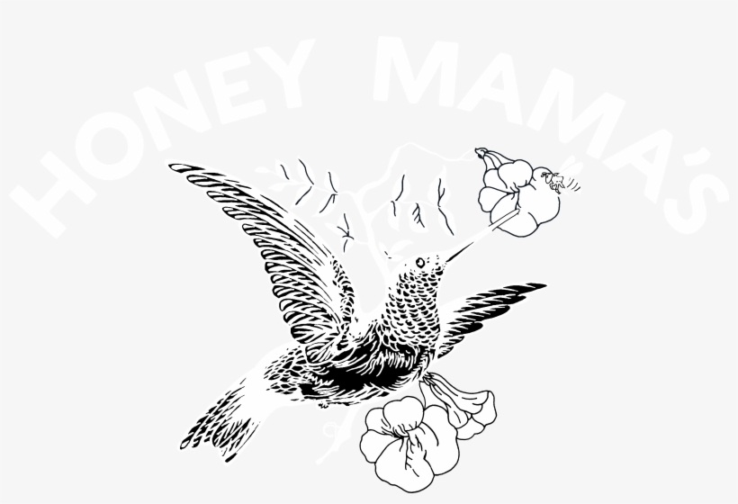 Hummingbird Logo For Pure Cyan Background, transparent png download