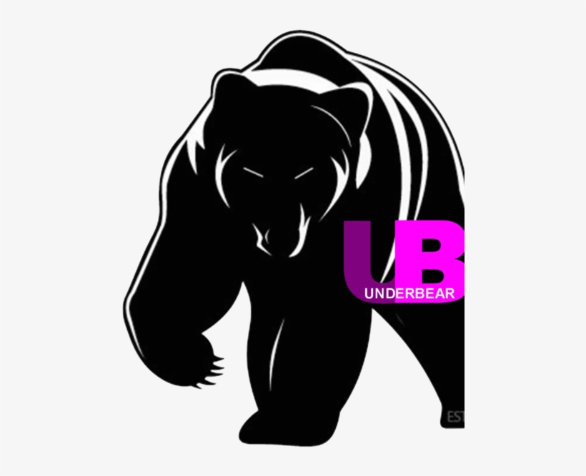 Underbear Party - Grizzly Bear Vector Png, transparent png download