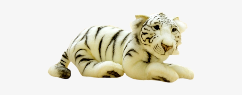 Baby Tigers - Siberian Tiger, transparent png download