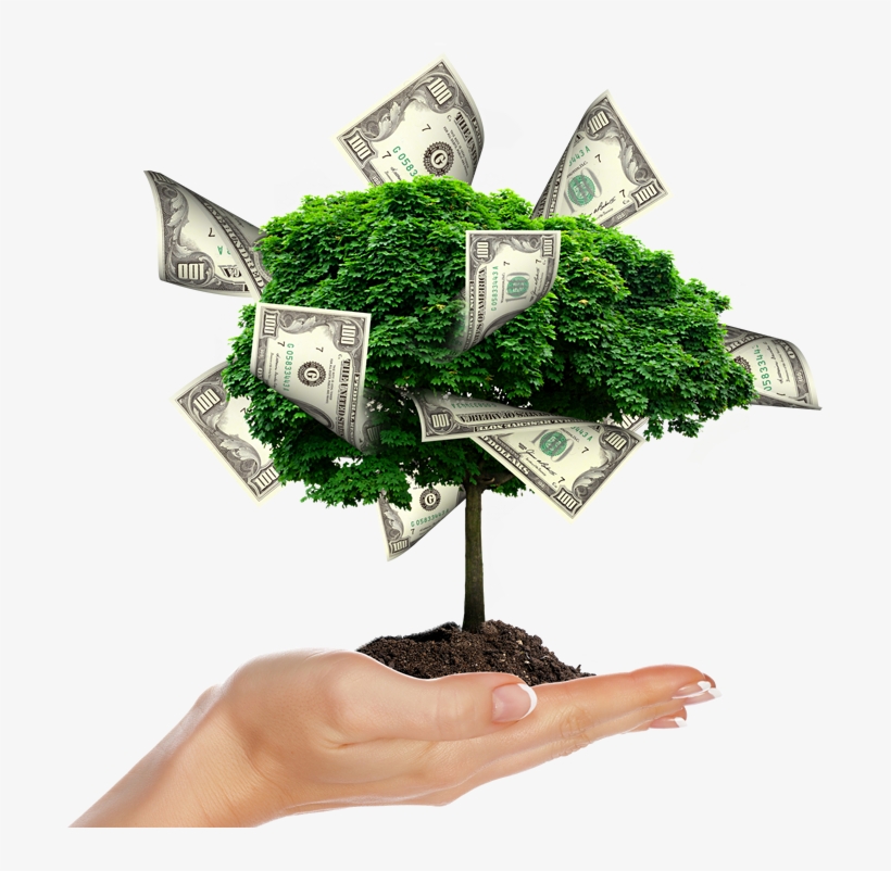 Need More Revenue - Il Segreto Per Fare Soldi, transparent png download