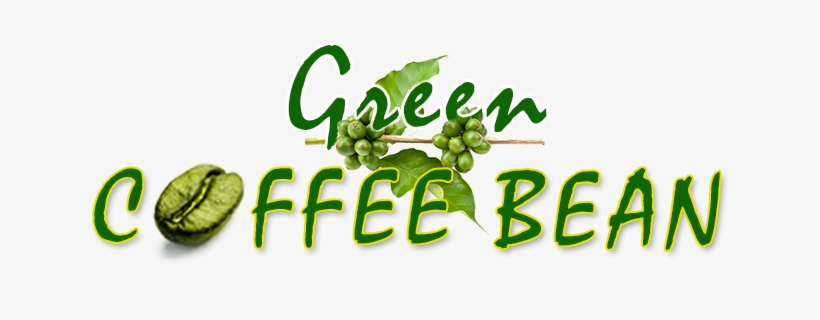Green Coffee Bean - Green Beans Coffee, transparent png download